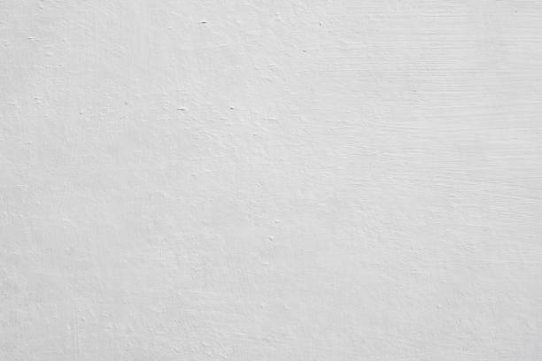 Mold Removal